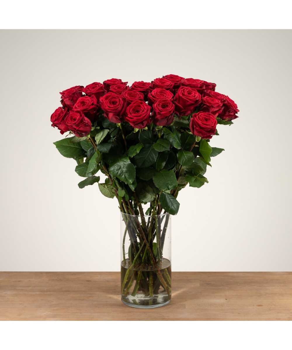 Buy 24 red roses?