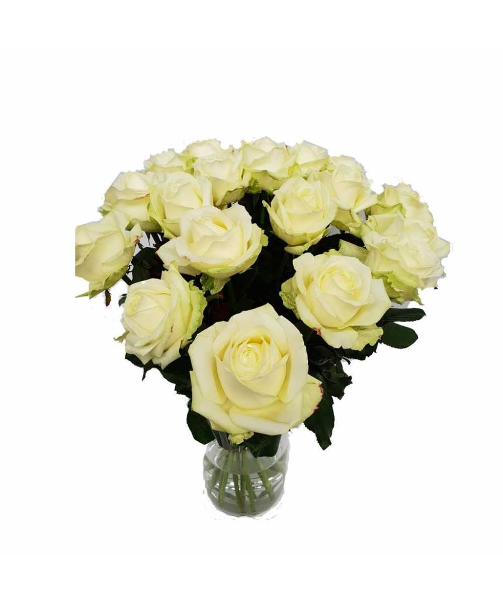 Bestellen Sie 24 Avalanche+ weiße Rosen