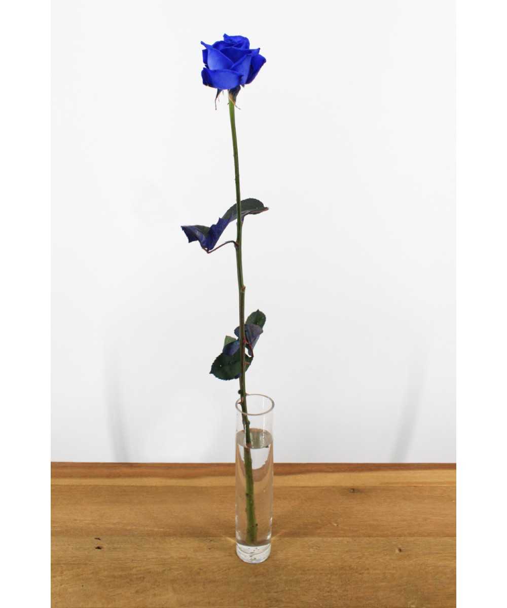 Order blue roses?