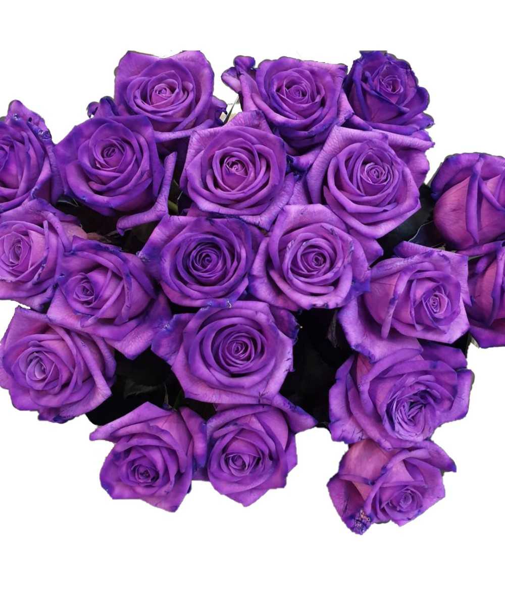 Vendela - Paarse rozen - 12 stuks