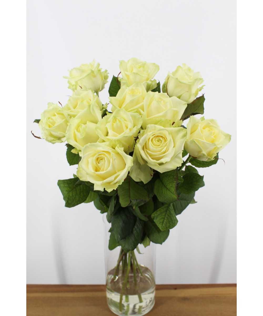 Avalanche+ Roses - White Roses 12 pcs