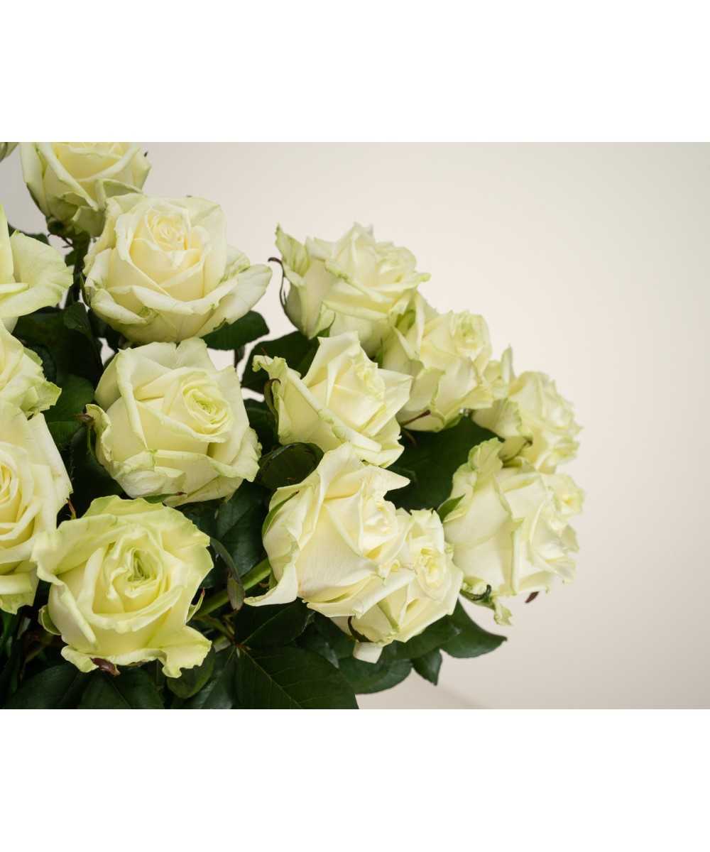 White Naomi 12 stuks witte rozen