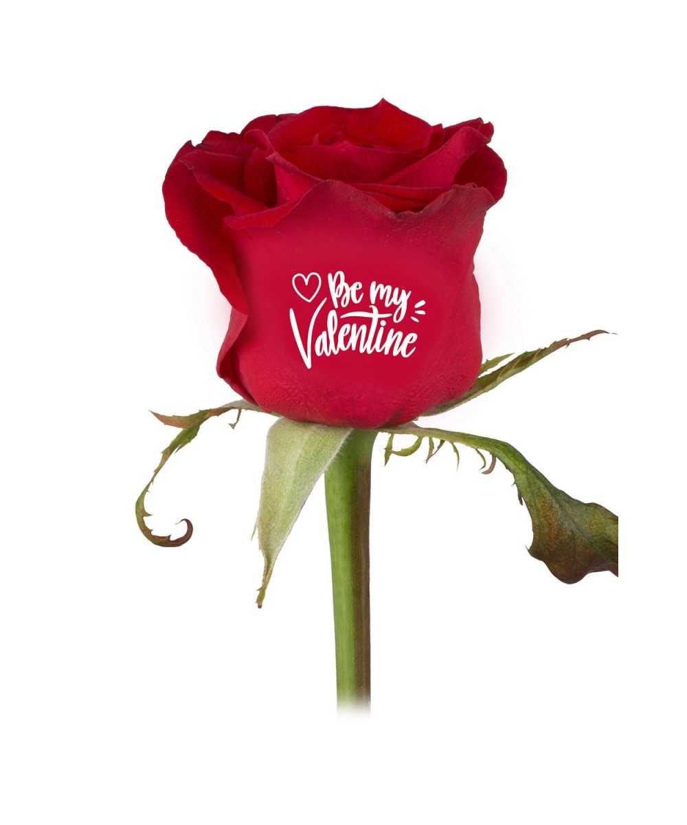 Bedrukte rozen "Be My Valentine" (11.02-14.02)