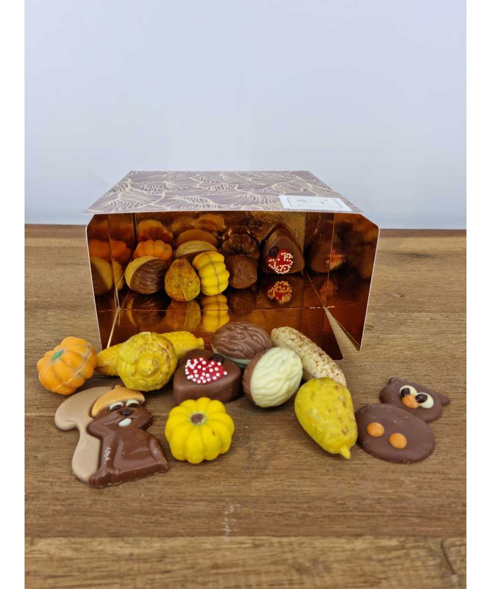 Chocolade herfst mix 300gr.