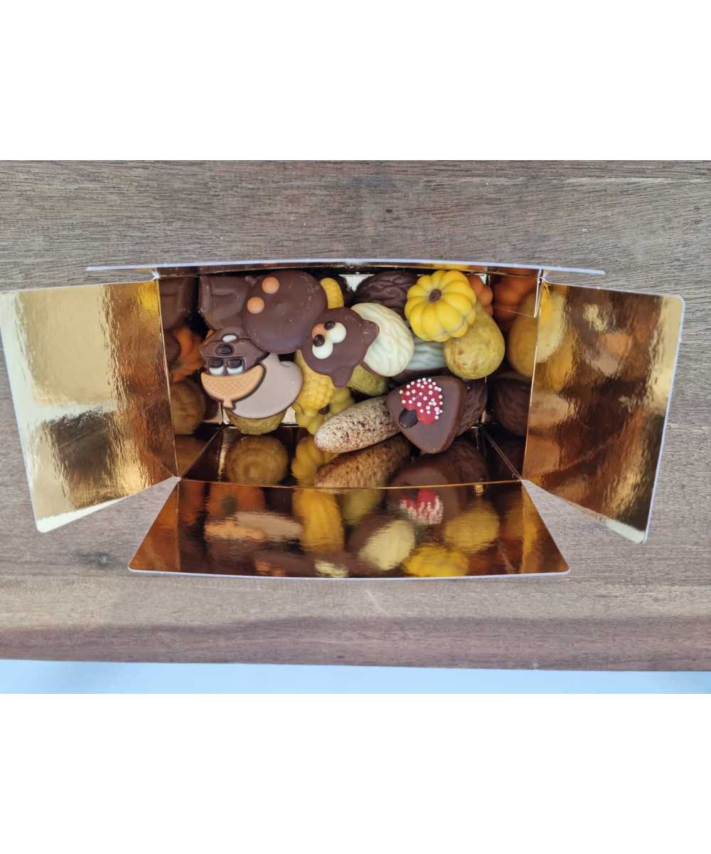 Chocolade herfst mix 300gr.