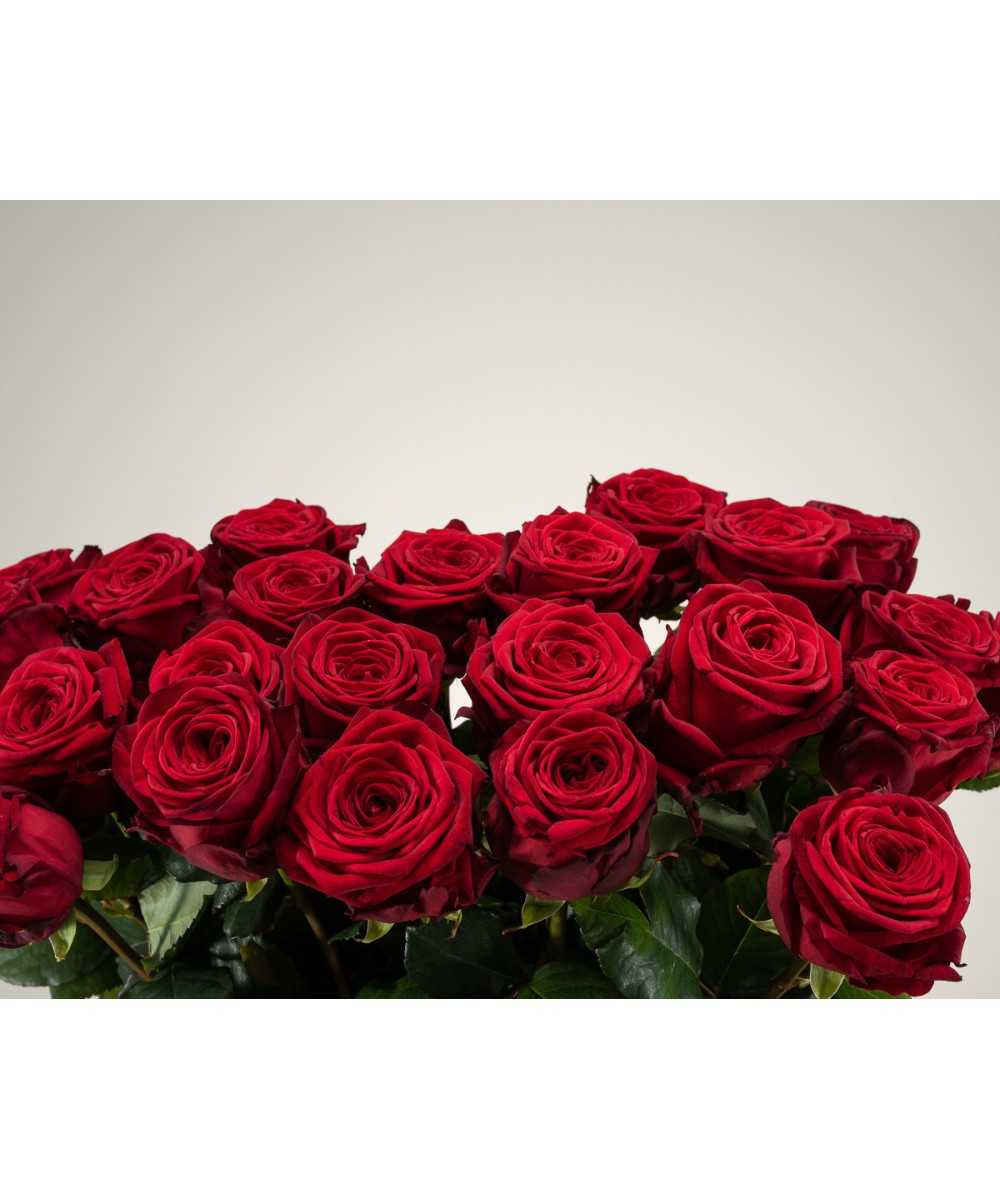 Buy 24 red roses?