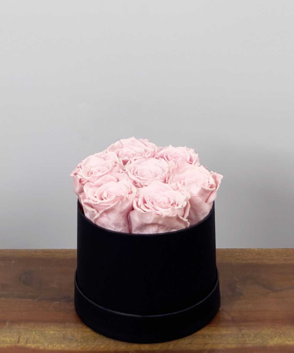 Rose box 7 Pink Longlife black