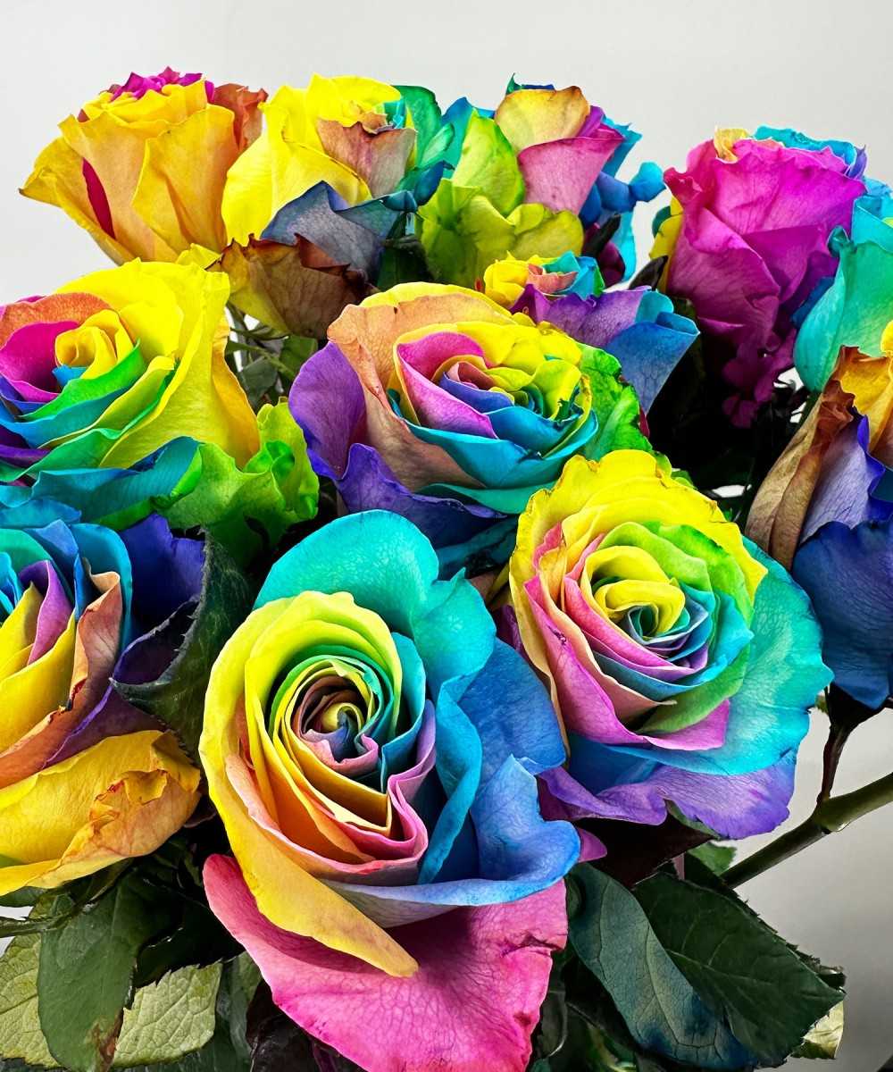 15 Rainbow Roses