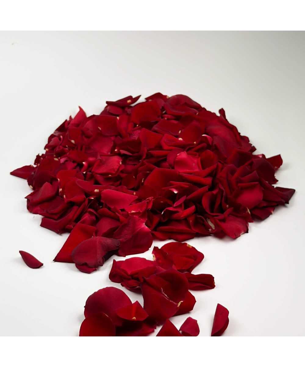 Red rose petals