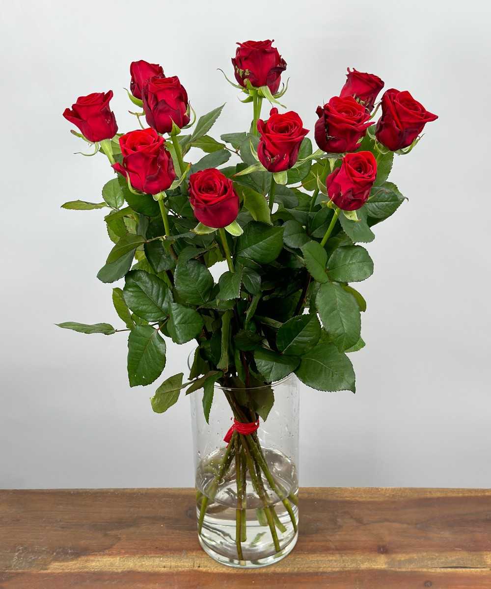 1 dz. Save Naomi! - most beautiful red rose REGULAR