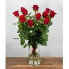 1 dz. Save Naomi! - most beautiful red rose REGULAR