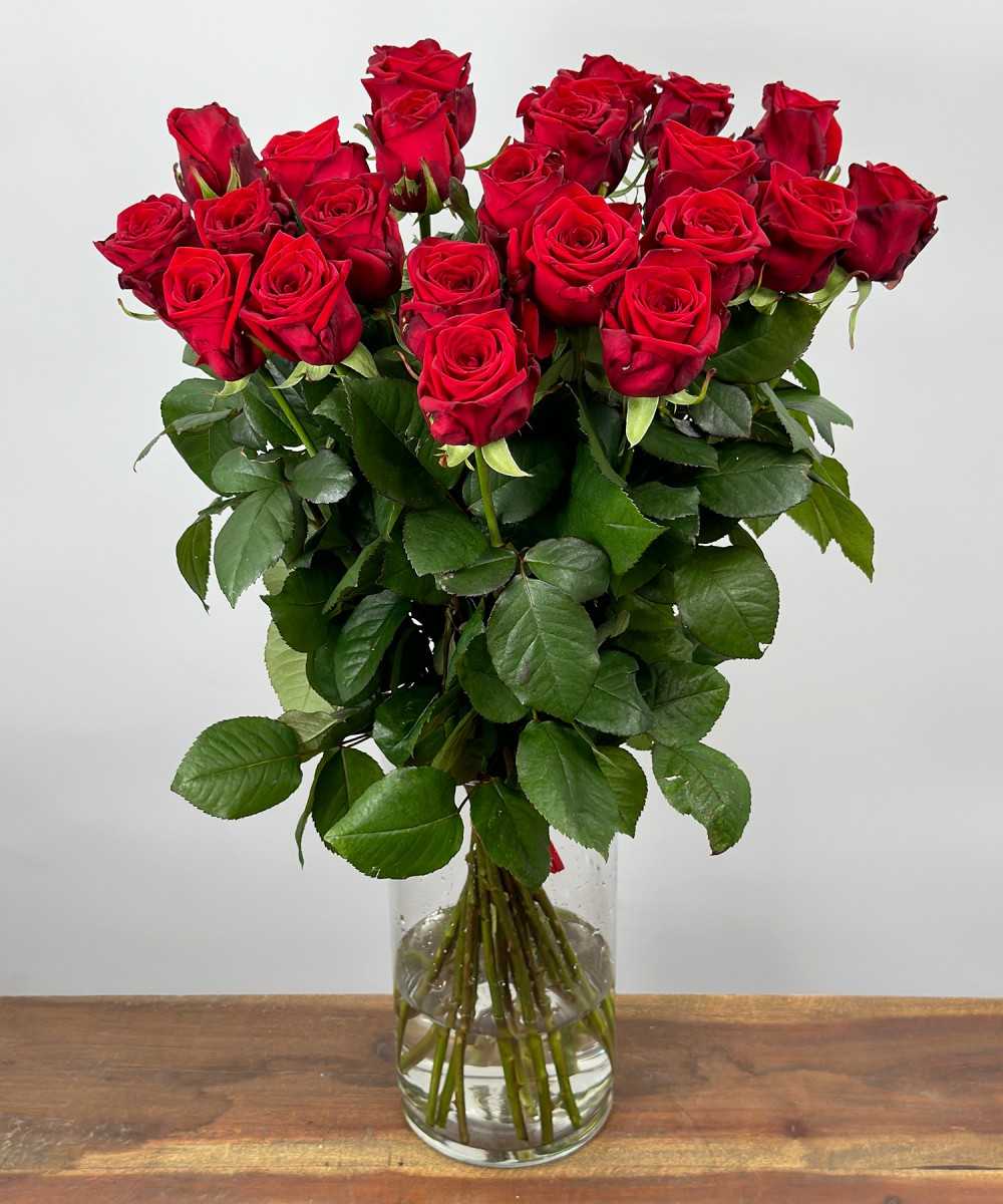 Buy 24 red roses?