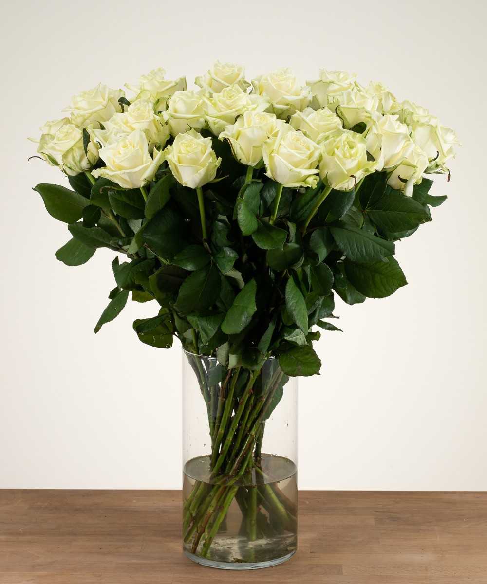 Order 24 White Naomi white roses