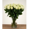 Order 24 White Naomi white roses