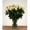 24 Avalanche+ witte rozen bestellen