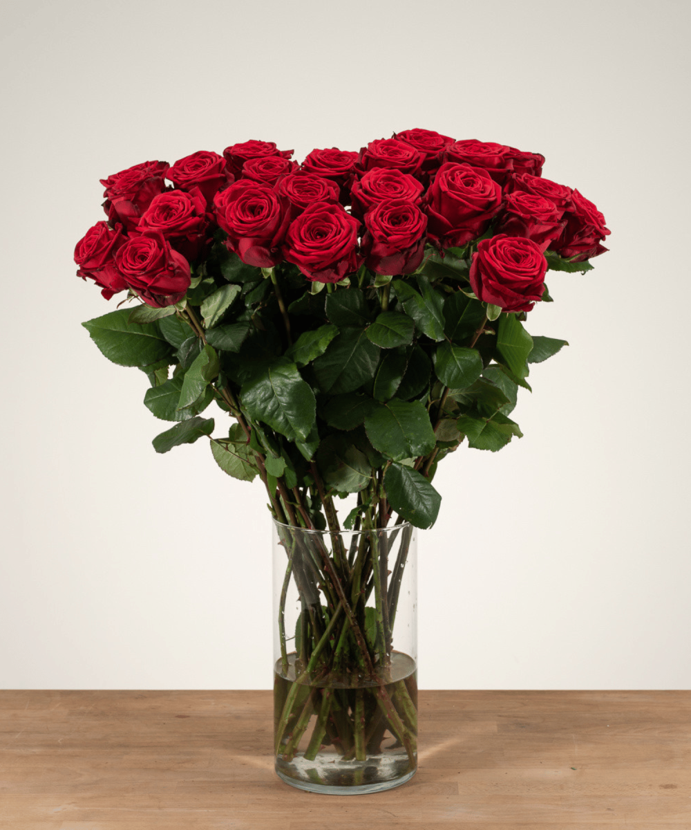 Buy 24 red roses?