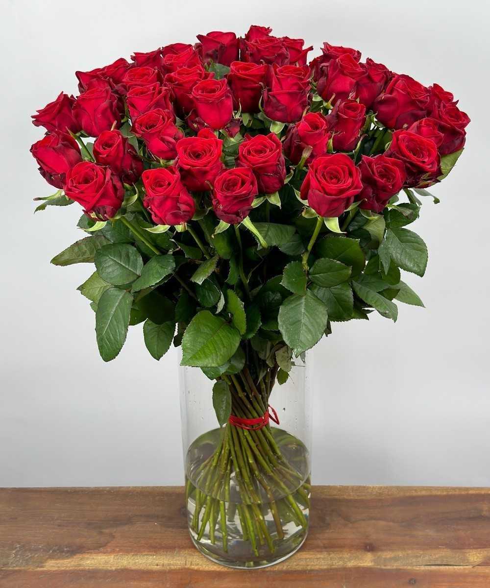 Save Naomi! Buy red roses 50 pieces? | 10 day warranty