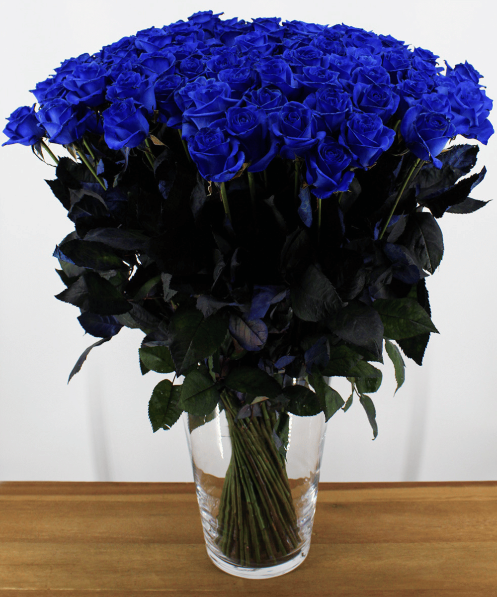 Bestellen Sie 60 blaue Rosen