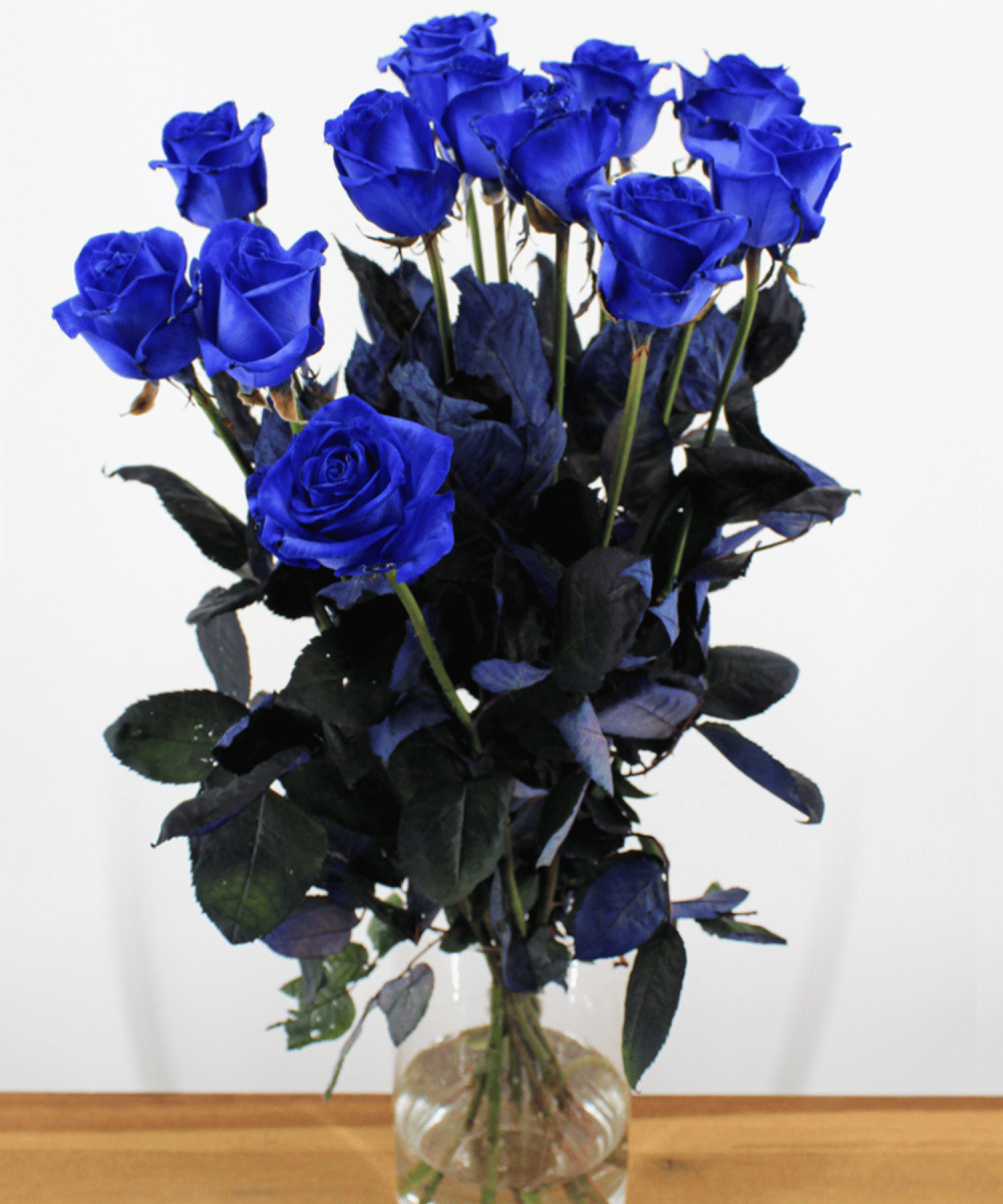 Bestellen Sie 12 blaue Rosen