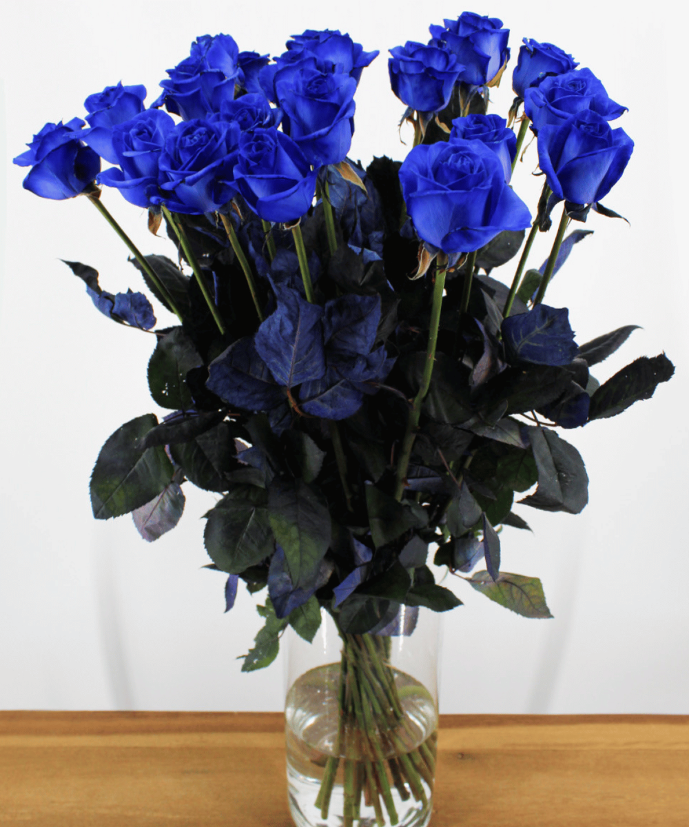 Bestellen Sie 24 blaue Rosen