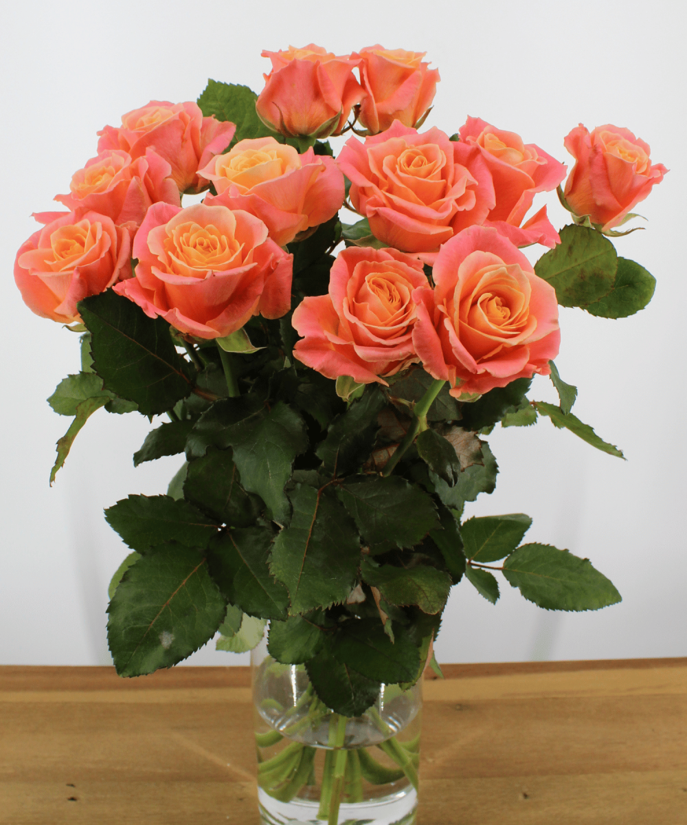 12 Miss Piggy+ Rozen – Zalmroze & Oranje Rozen