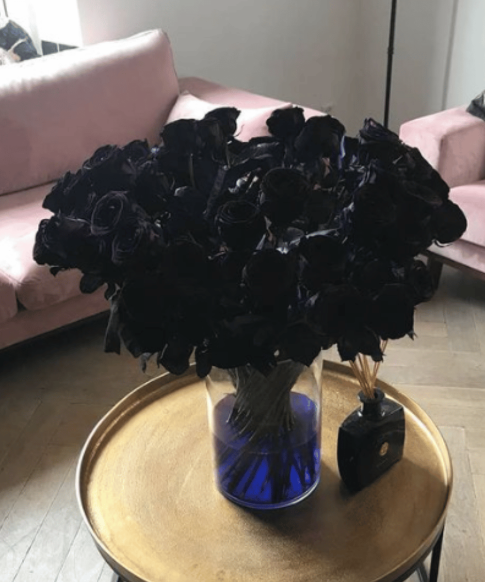 Schwarze Rose