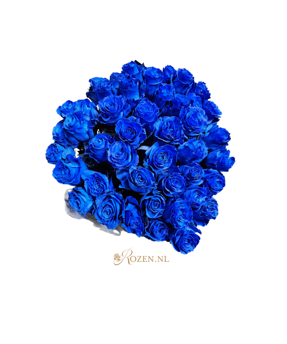 Bestellen Sie 24 blaue Rosen