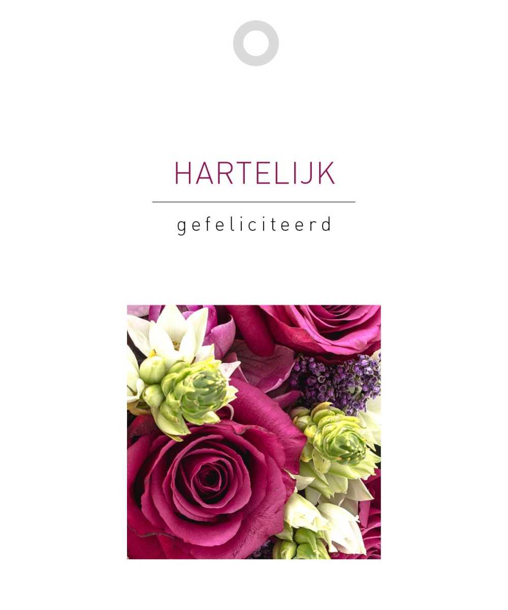 kaartje Hartelijk Gefeliciteerd