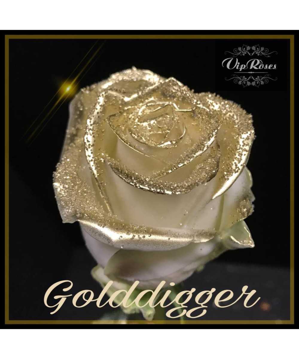 Golddigger R-460