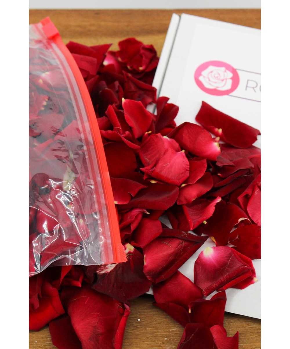 Red rose petals